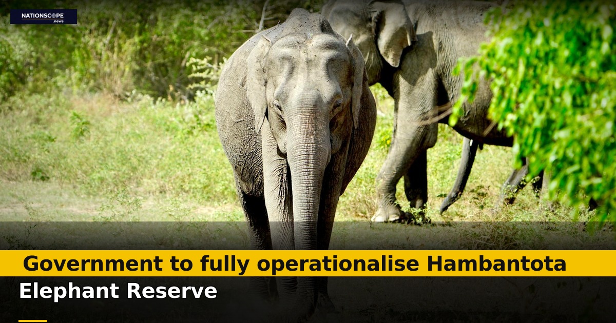 Government to fully operationalise Hambantota Elephant Re... | NationScope